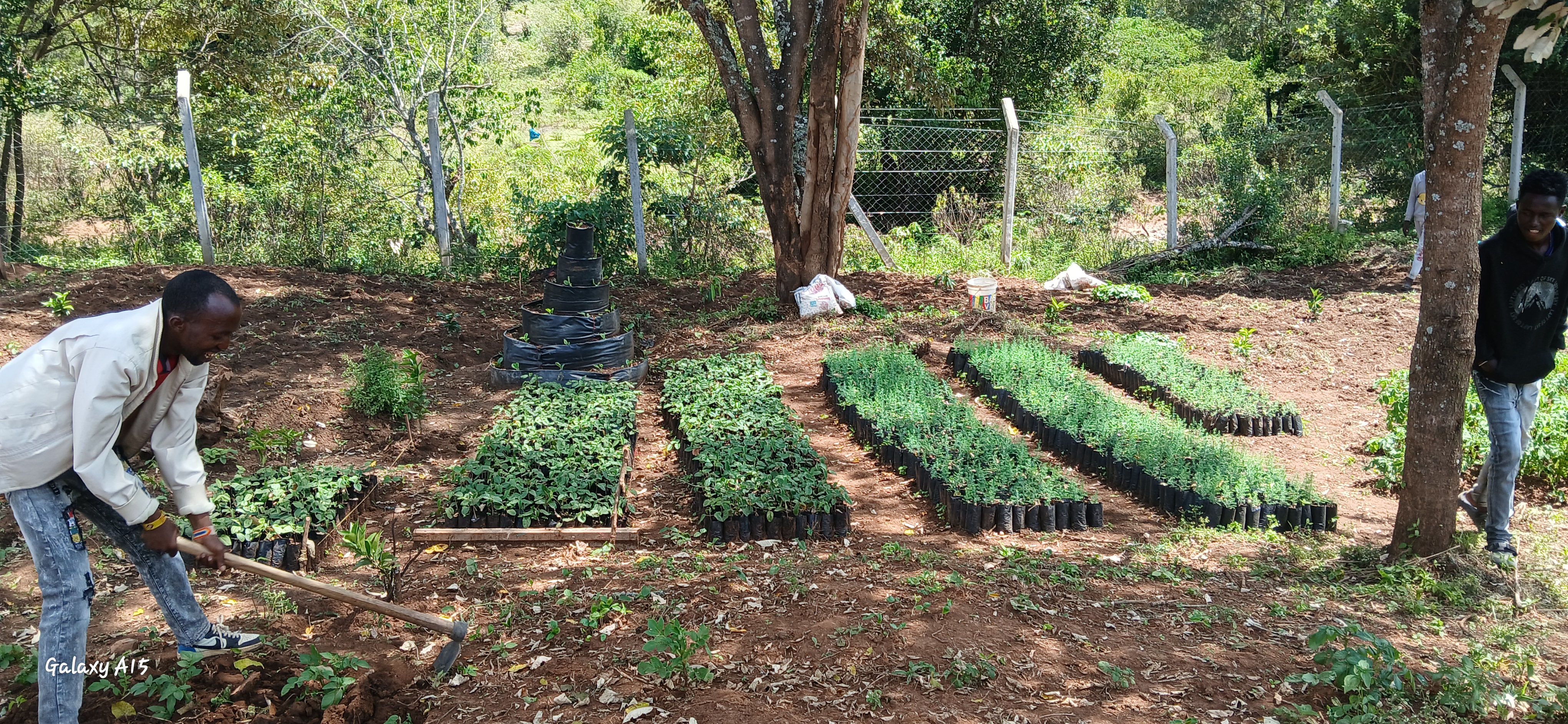 Service Construction